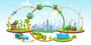 Economía circular: Más allá del reciclaje, un modelo de negocio completo