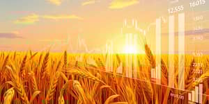 Cómo Operar en los Mercados de Futuros Agrícolas: Cosecha de Beneficios
